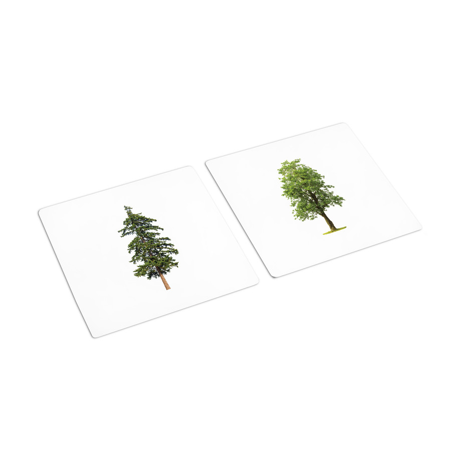 Flowers - Trees Sorting Cards (IT-0071)