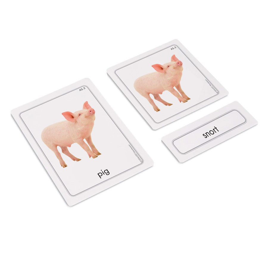 Animals and Their Sounds 3 Part Cards