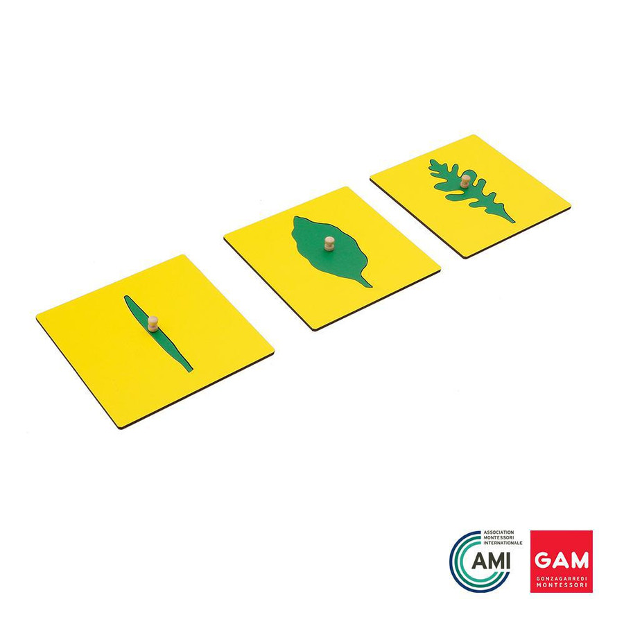 Leaf Shapes Insets For The Botany Cabinet