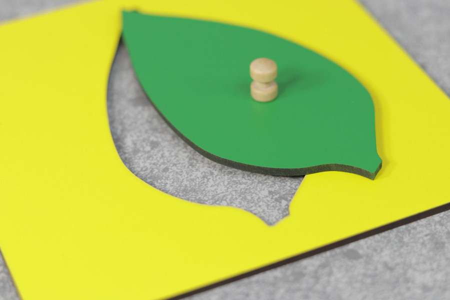 Leaf Shapes Insets For The Botany Cabinet