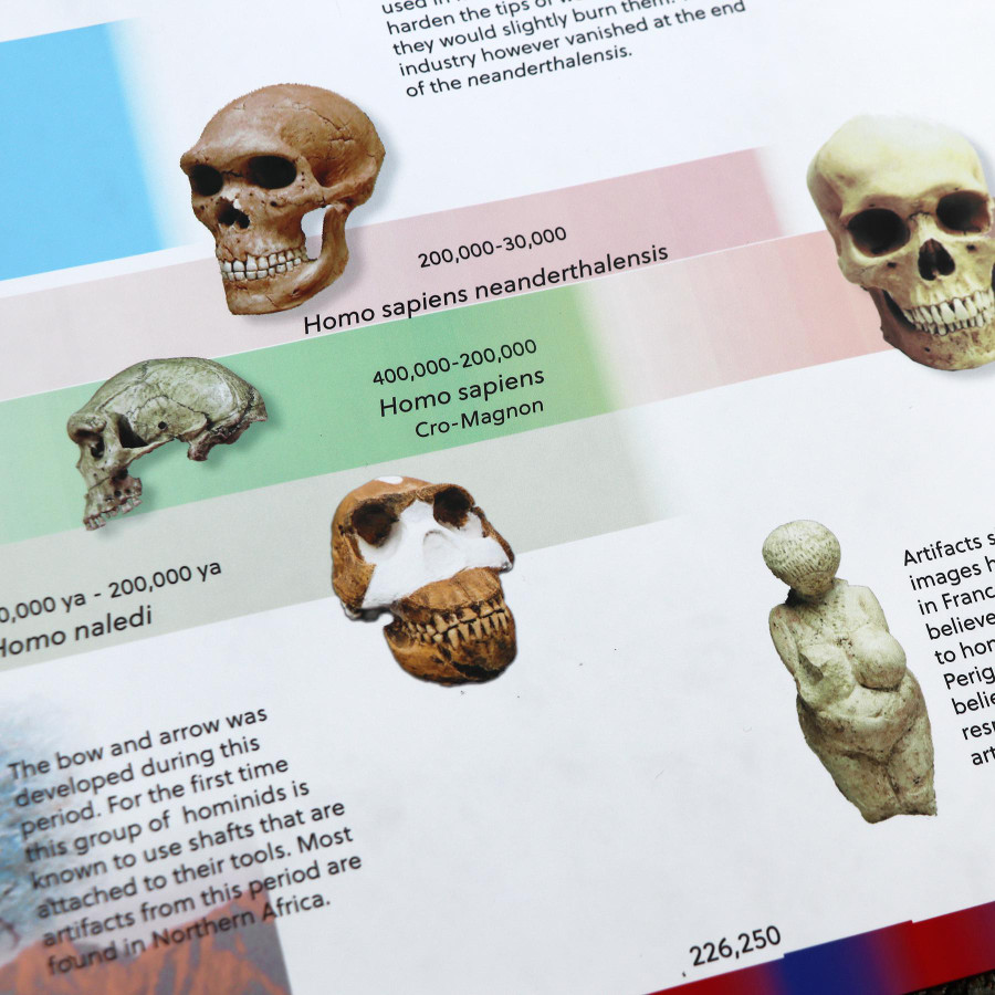 Timeline of Early Humans -Homeschool Edition