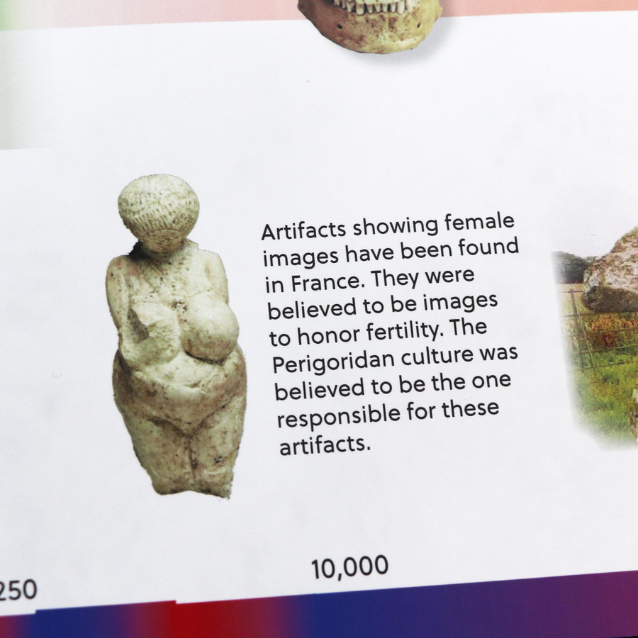 Timeline of Early Humans -Homeschool Edition