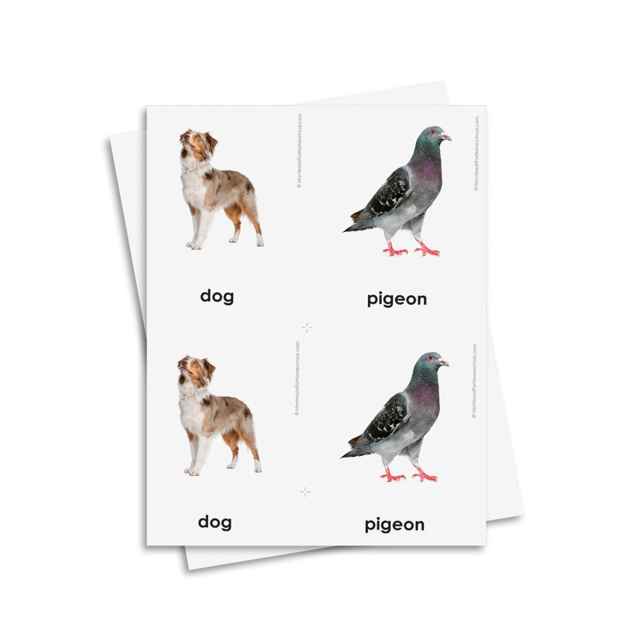 Domestic Animals 3 Part Cards - Digital Printable
