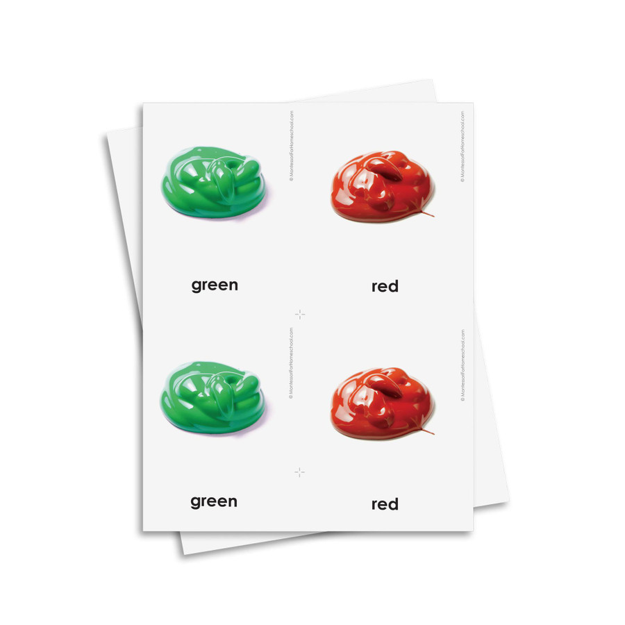 Color Identification 3 Part Cards - Digital Printable