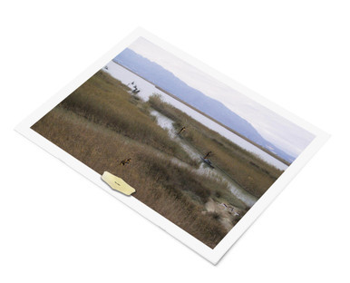 Patterns of Human Migration - Digital Printable