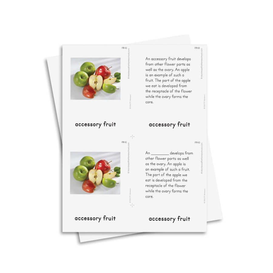 Botany Level 9-12: Fruit - Digital Printable