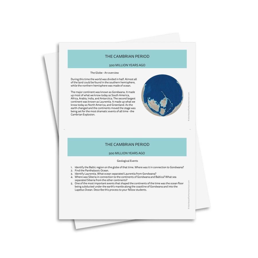 Timeline of Life Research Cards - Montessori Homeschool Edition