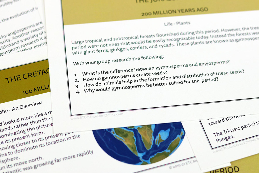 Timeline of Life Research Cards - Montessori Homeschool Edition