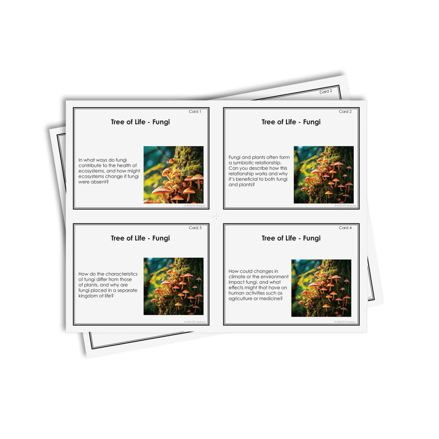 Working With The Tree of Life - Digital Printable