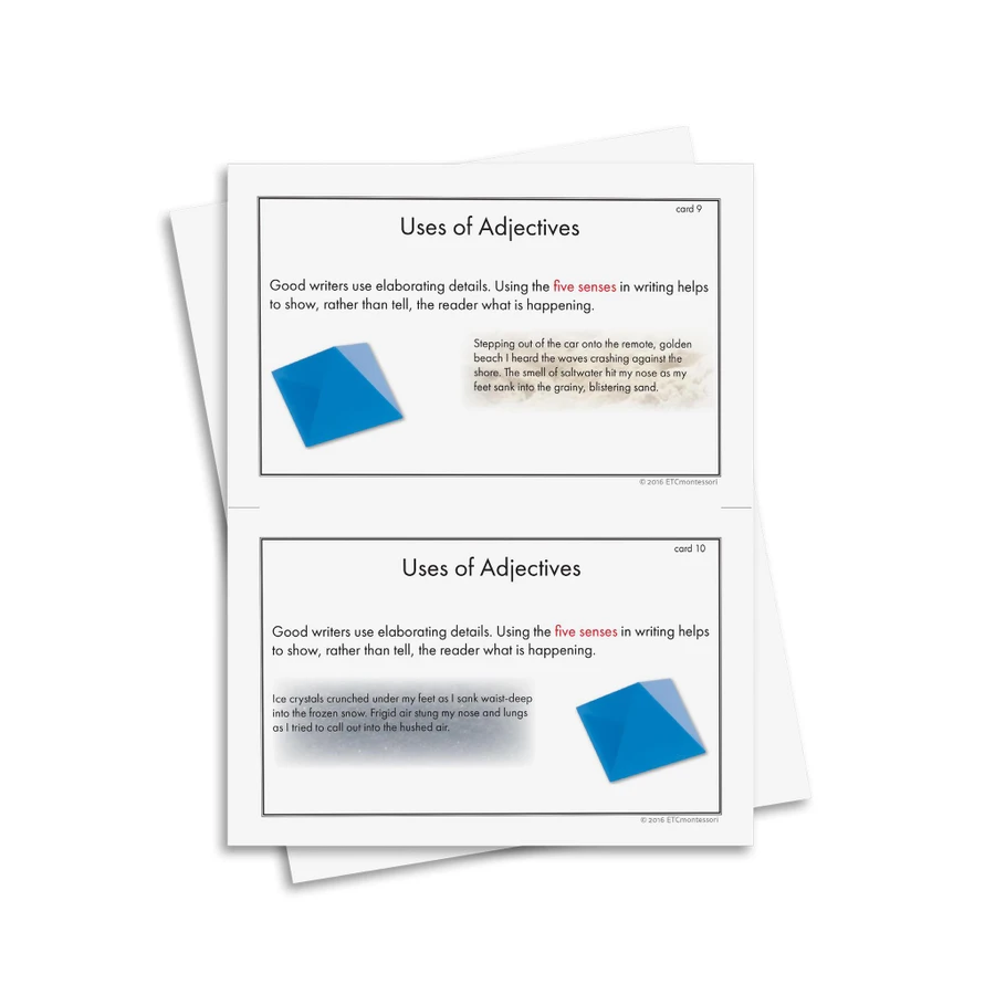 Developing Writing Through Grammar - Digital Printable