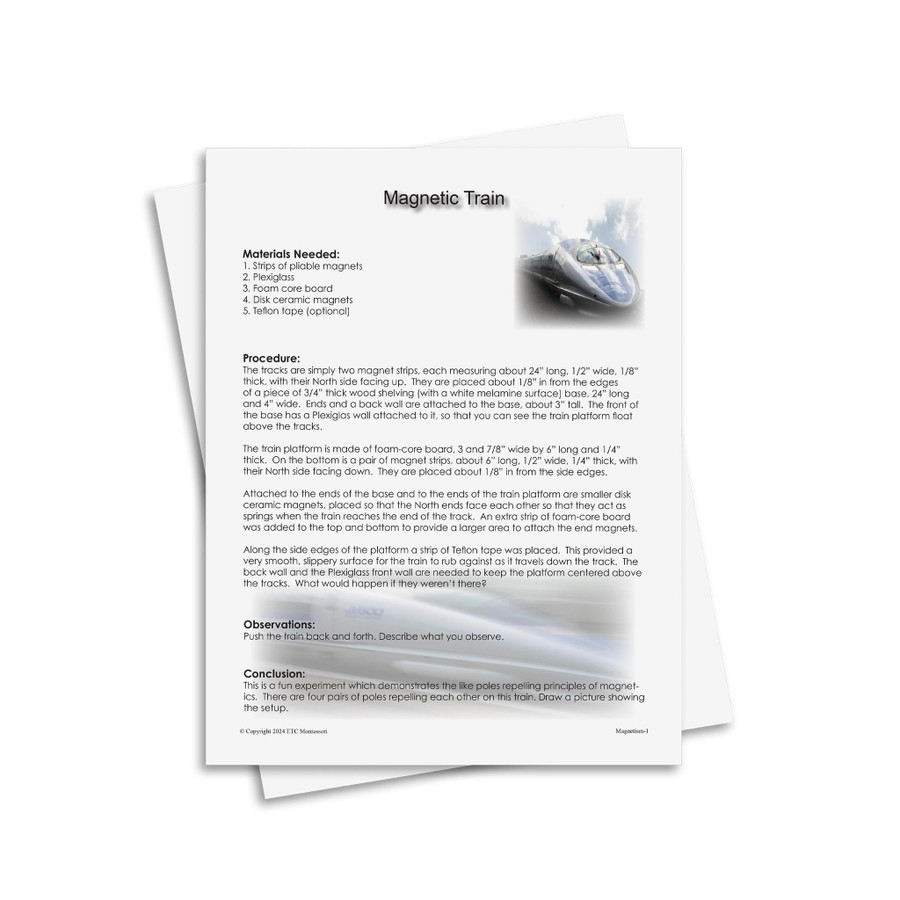 Physics: Magnetism - Digital Printable