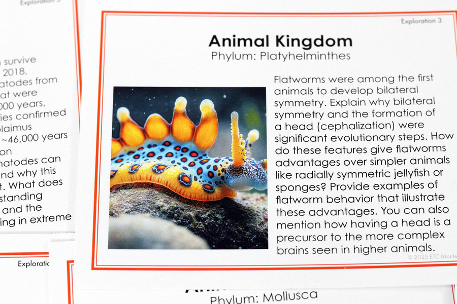 Parts of an Atom Nomenclature - Digital Printable