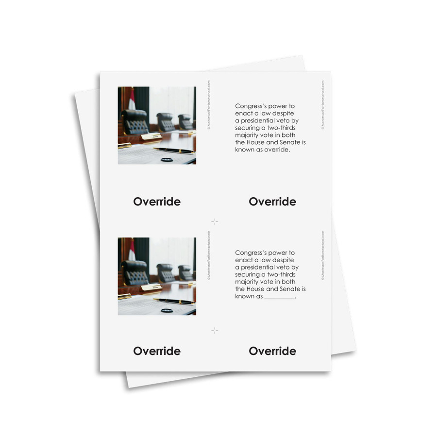 US Civics - Three Branches of Government - Digital Printable