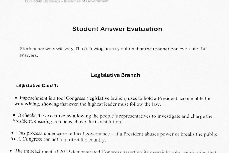 US Civics - Three Branches of Government - Digital Printable