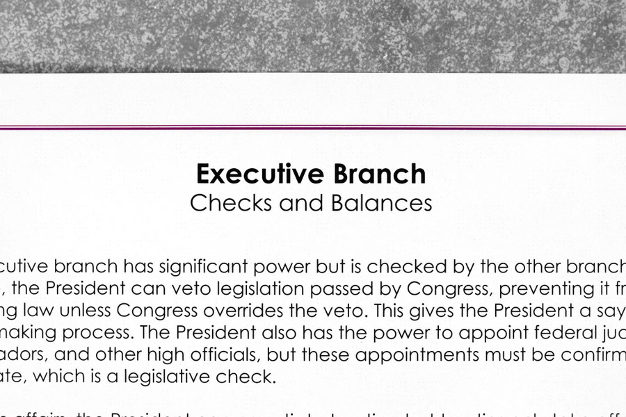 US Civics - Three Branches of Government - Digital Printable