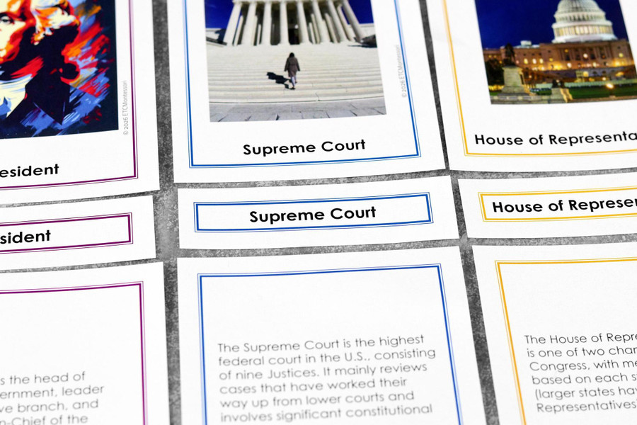 US Civics - Three Branches of Government - Digital Printable