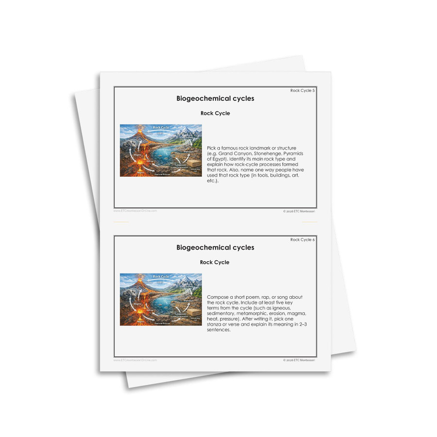Biogeochemical Cycles Research Questions - Digital Printable