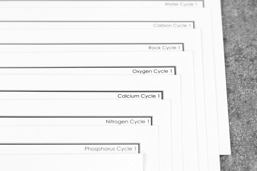 Biogeochemical Cycles Research Questions - Digital Printable
