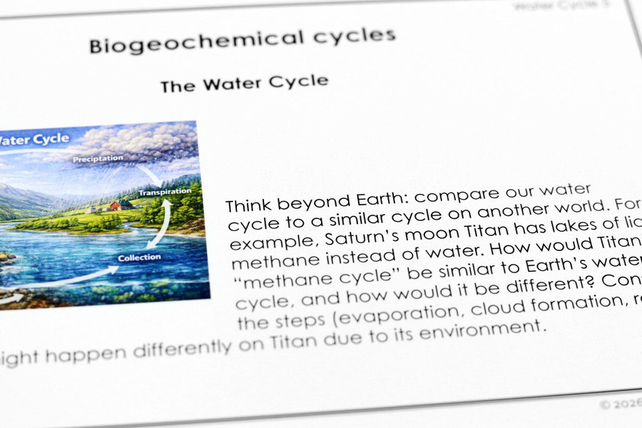 Biogeochemical Cycles Research Questions - Digital Printable