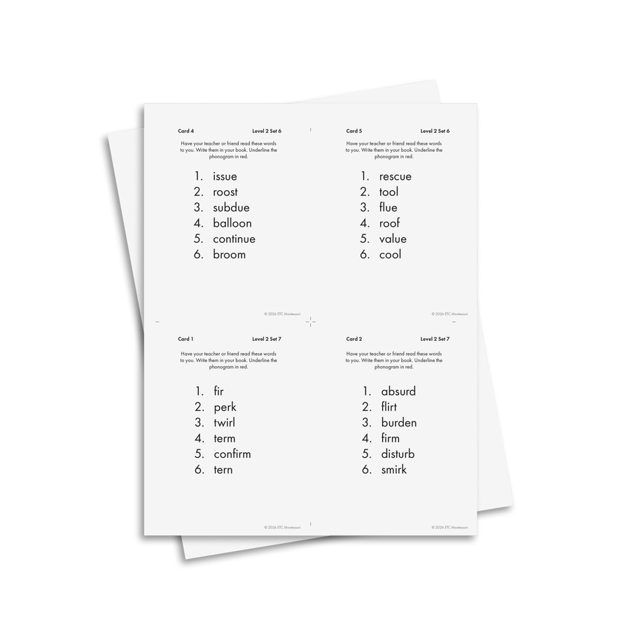 Phonograms Level 2 - Digital Printable