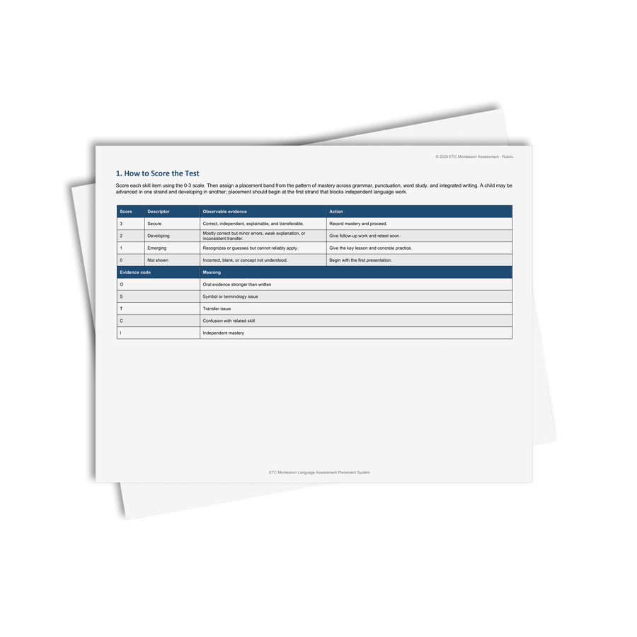 Montessori Language Placement Test Level 6-12 - Digital Printable