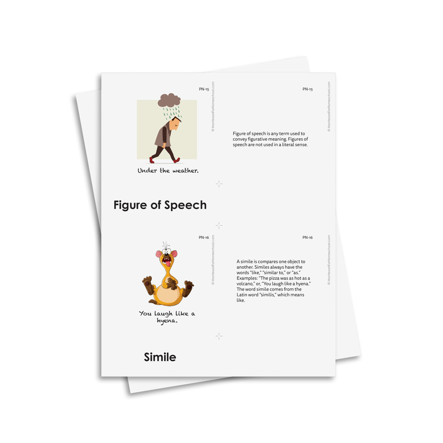 Teaching Poetry Level 9-12 - Digital Printable