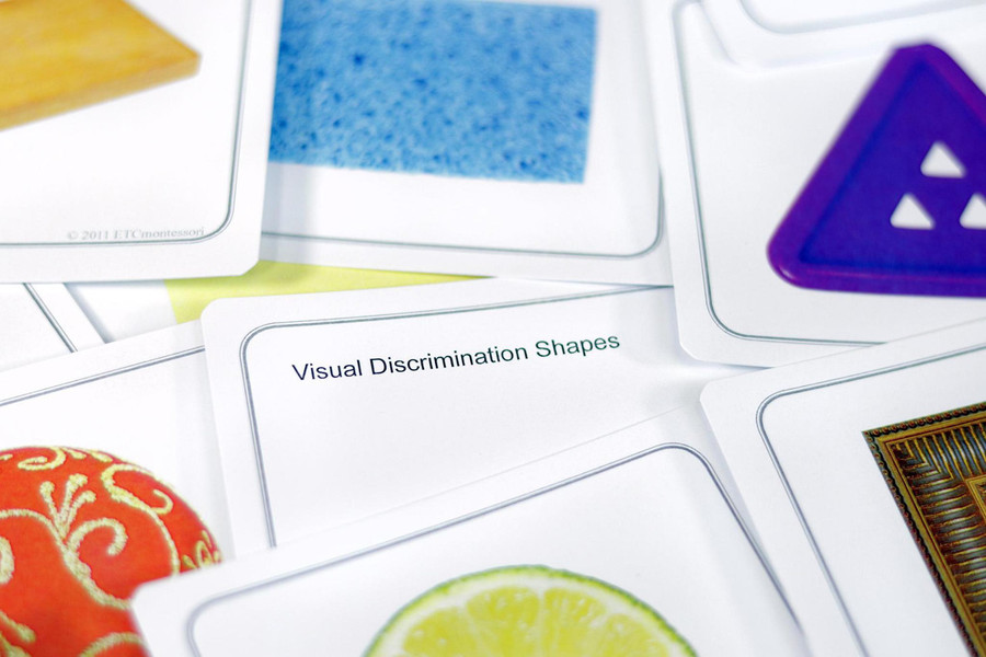 Visual Discrimination: Shape - Digital Printable