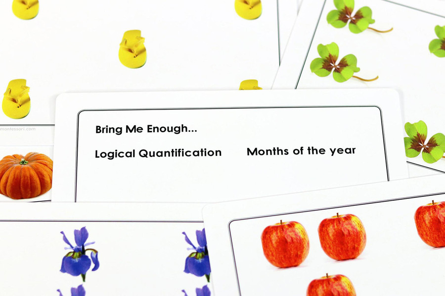 Developing Numeracy Quantification Kit 2 - Digital Printable
