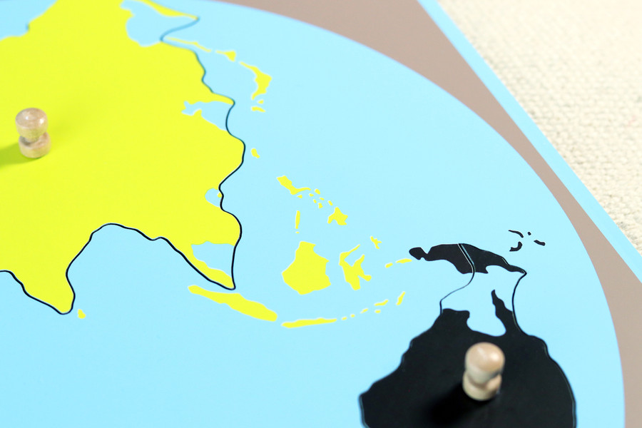 World Puzzle Map