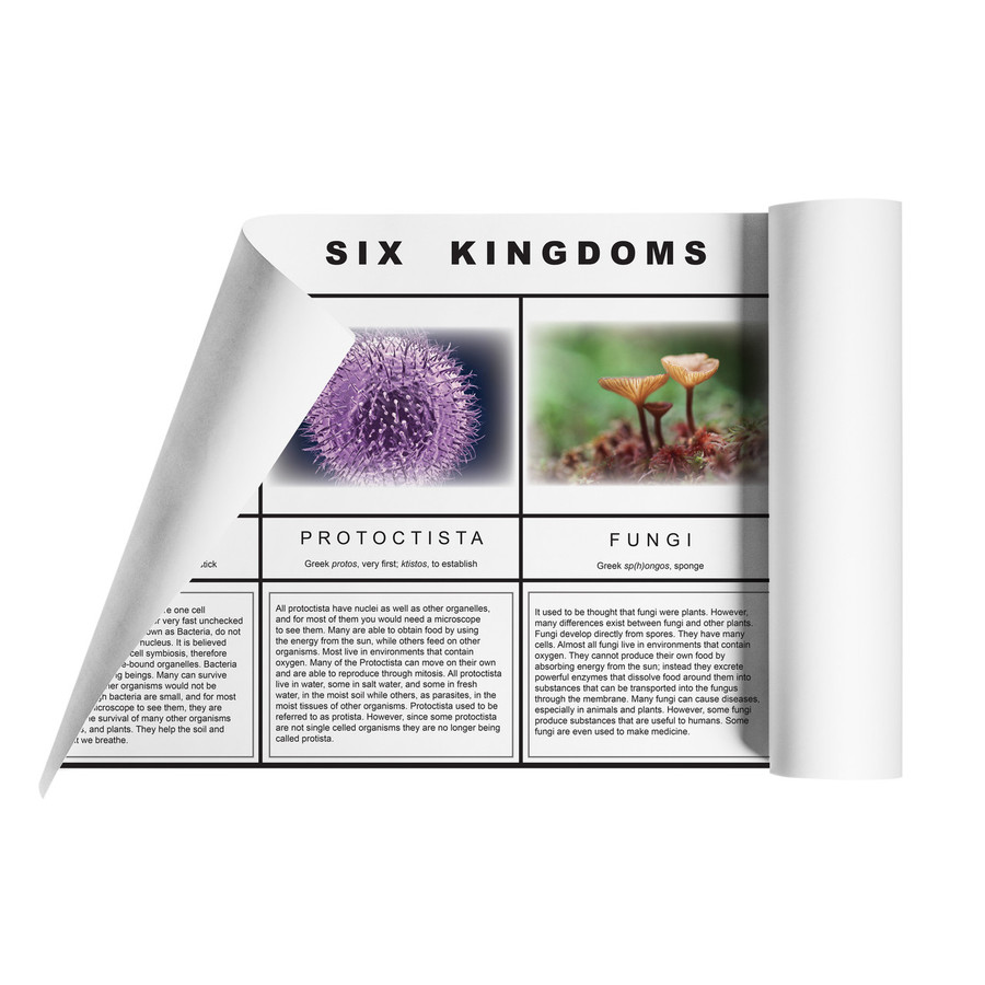The Six Kingdom Chart - Digital Printable
