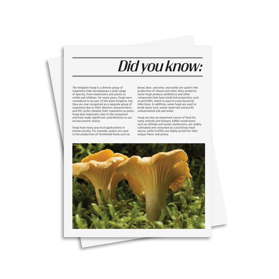 Fungi Kingdom Classification System - Digital Printable