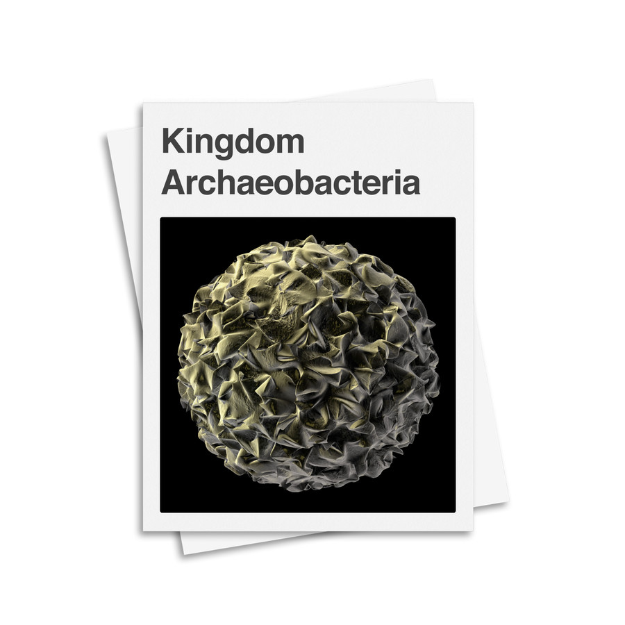 Archaebacteria Kingdom Classification System - Digital Printable