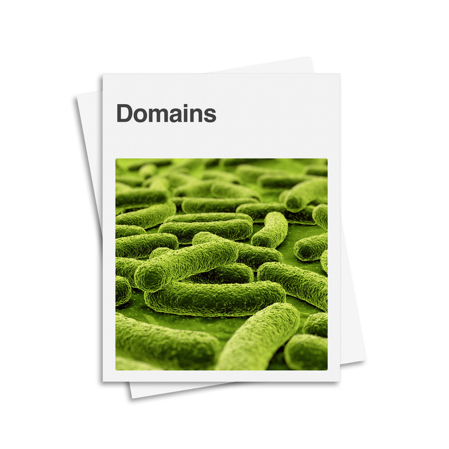 The Three Domains Classification System - Digital Printable