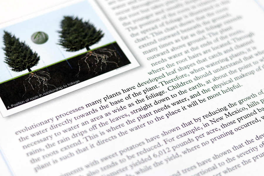 Botany Charts with Experiments - Digital Printable