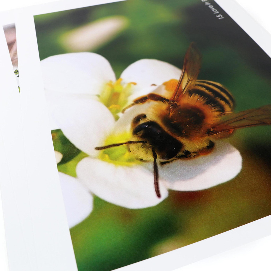 Botany Impressionistic Charts - Digital Printable