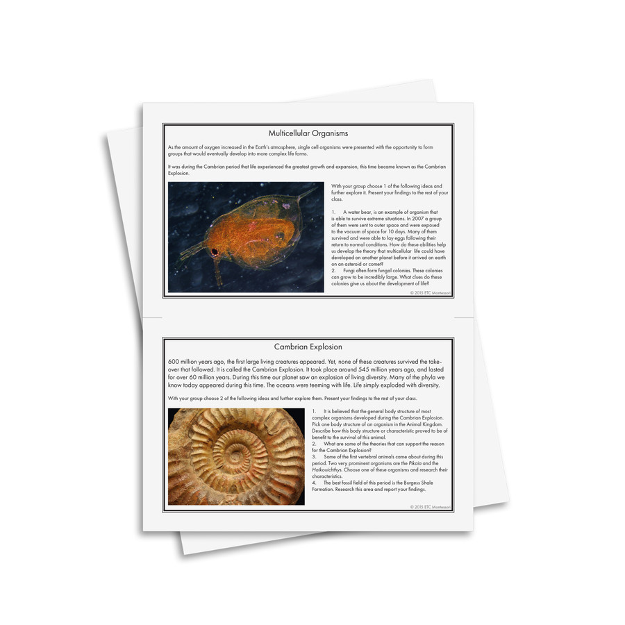 Timeline of the Eras Research Cards - Digital Printable