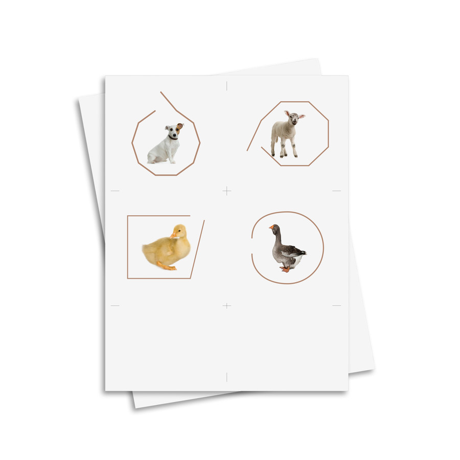 Open and Closed Figures - Digital Printable