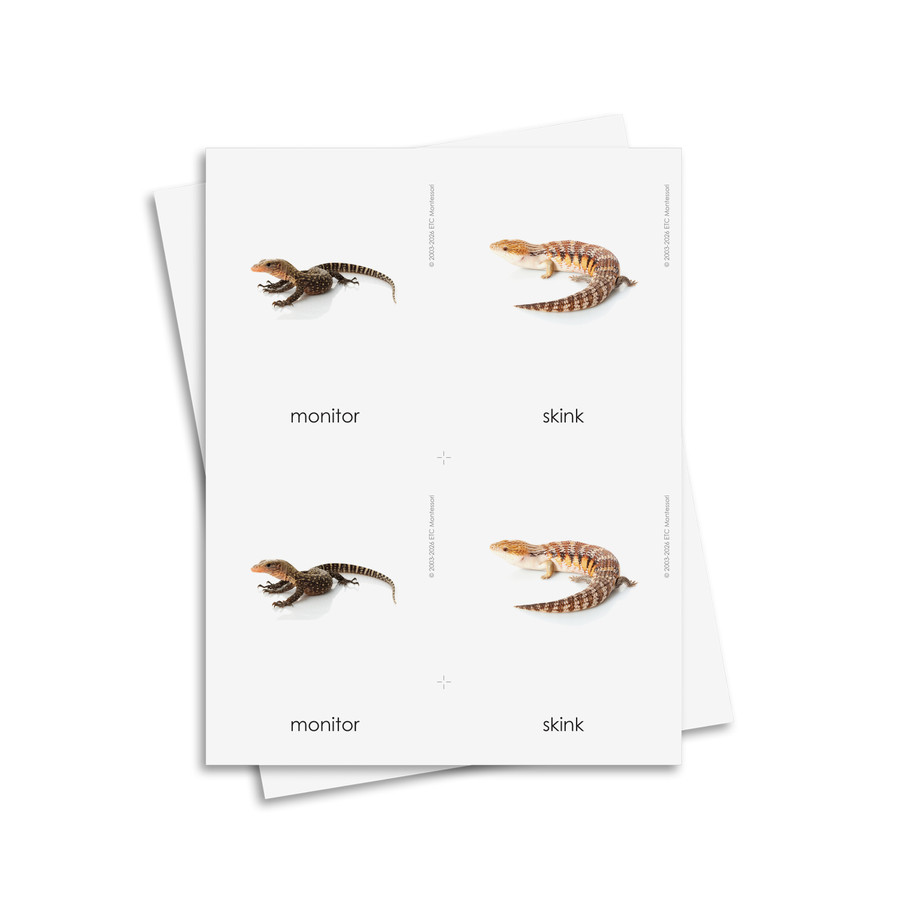 Reptiles 3 Part Cards - Digital Printable