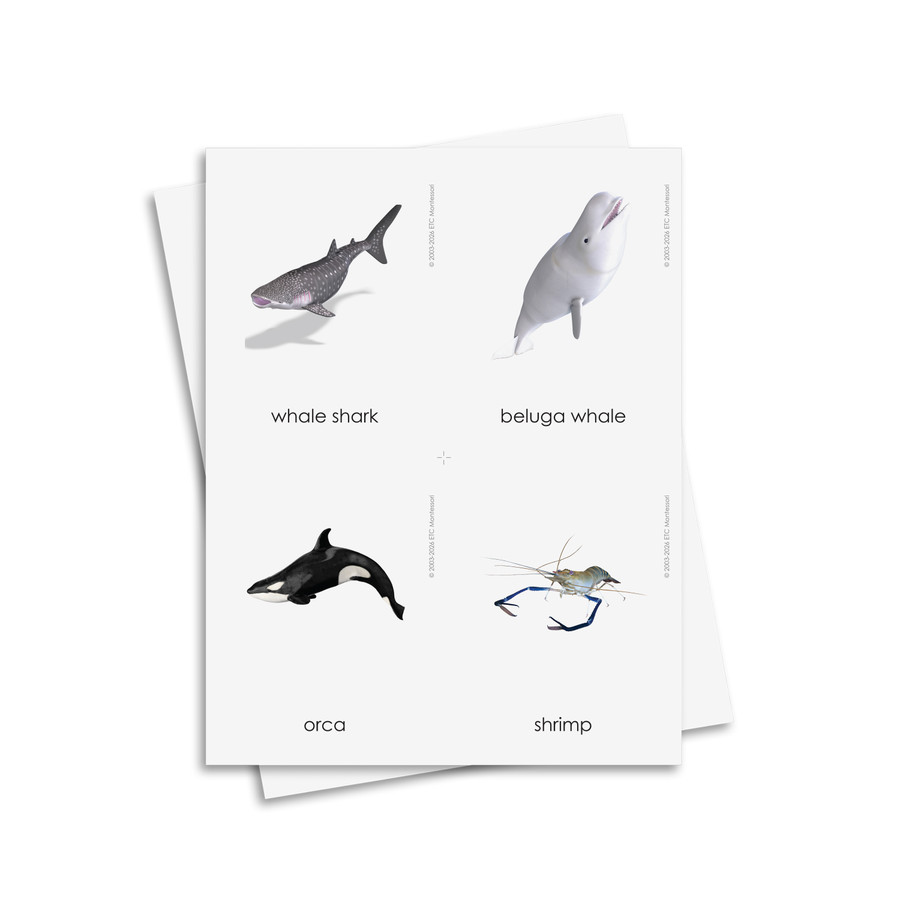 Animals of the Continents - Digital Printable