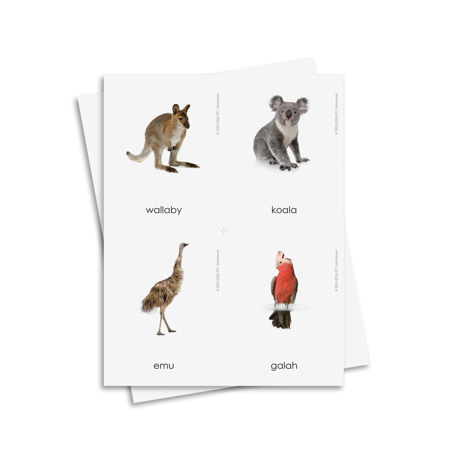 Animals of the Continents - Digital Printable