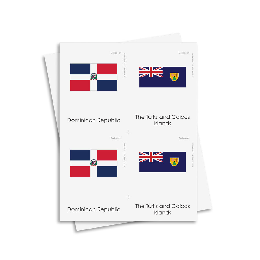 Flags of South America 3 Part Cards - Digital Printable