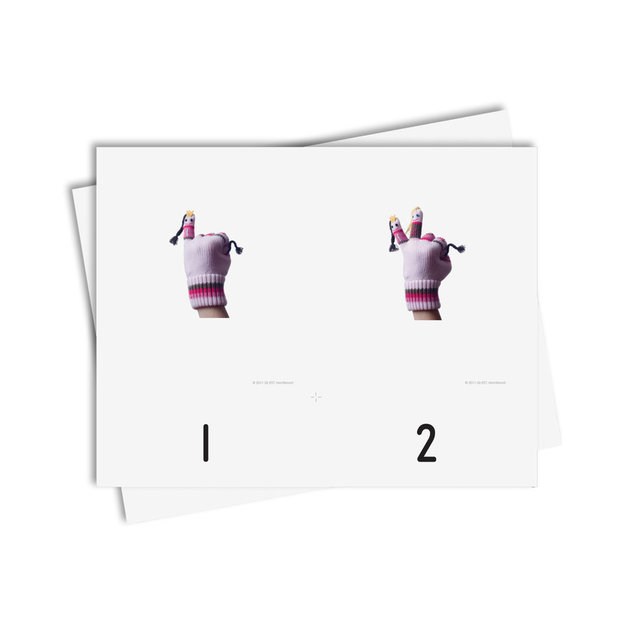Counting Bundle - Digital Printable