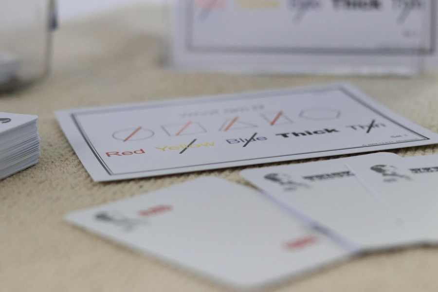 Attribute Work with Task Cards Level 6-9 - Digital Printable