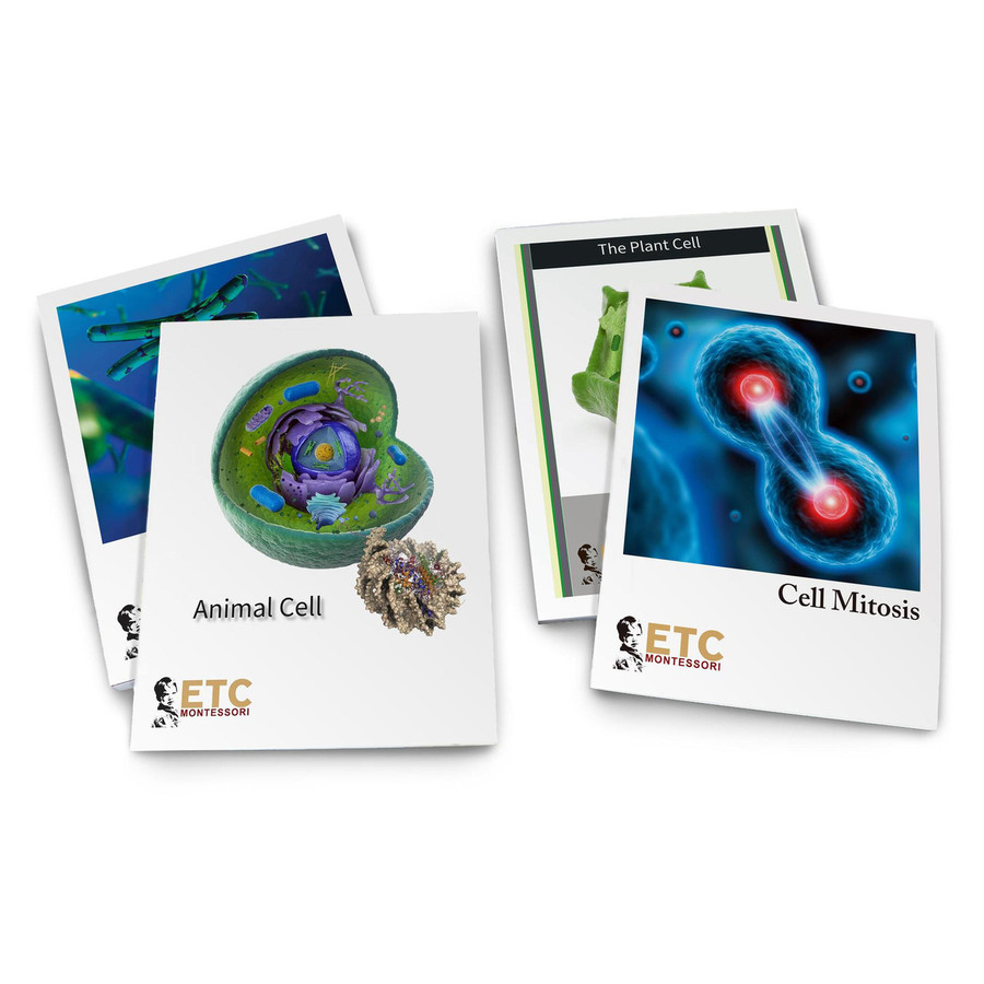 The Living Cell Bundle - Digital Printable