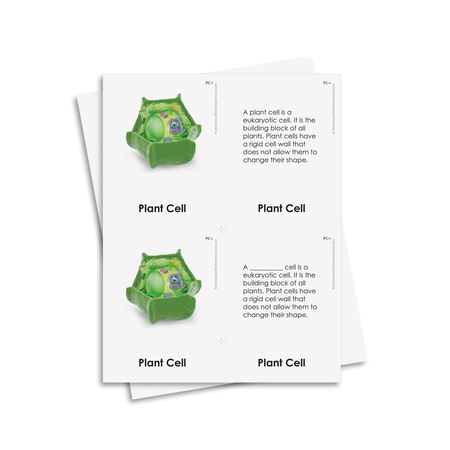 The Living Cell Bundle - Digital Printable