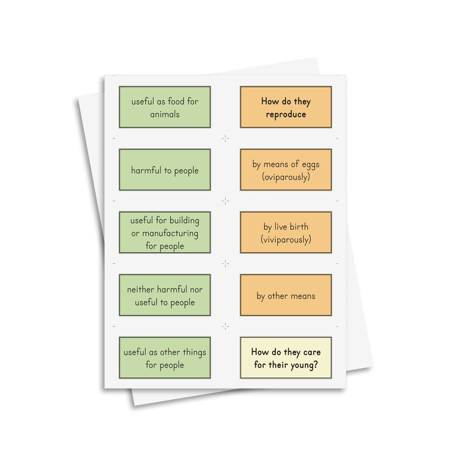 Animal Stories - Digital Printable