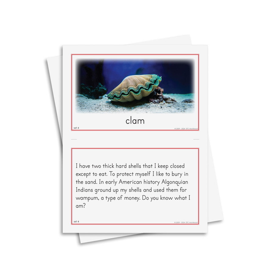 Animal Stories - Digital Printable