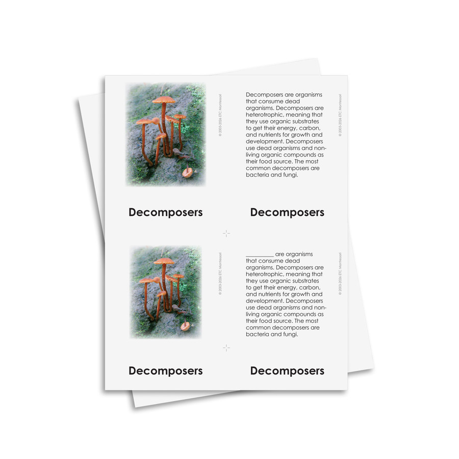 Introduction to Biomes - Digital Printable
