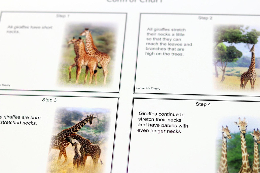 Ecology Level 9-12 - Digital Printable