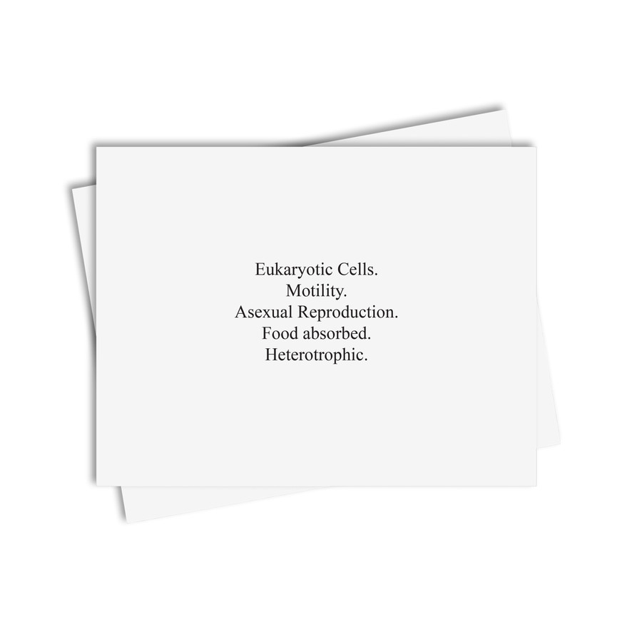 Chinese Boxes Protoctista - Digital Printable